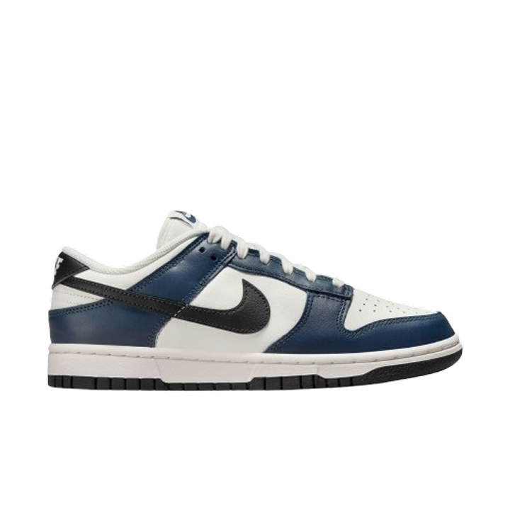Nike Dunk Low Women's Basketball