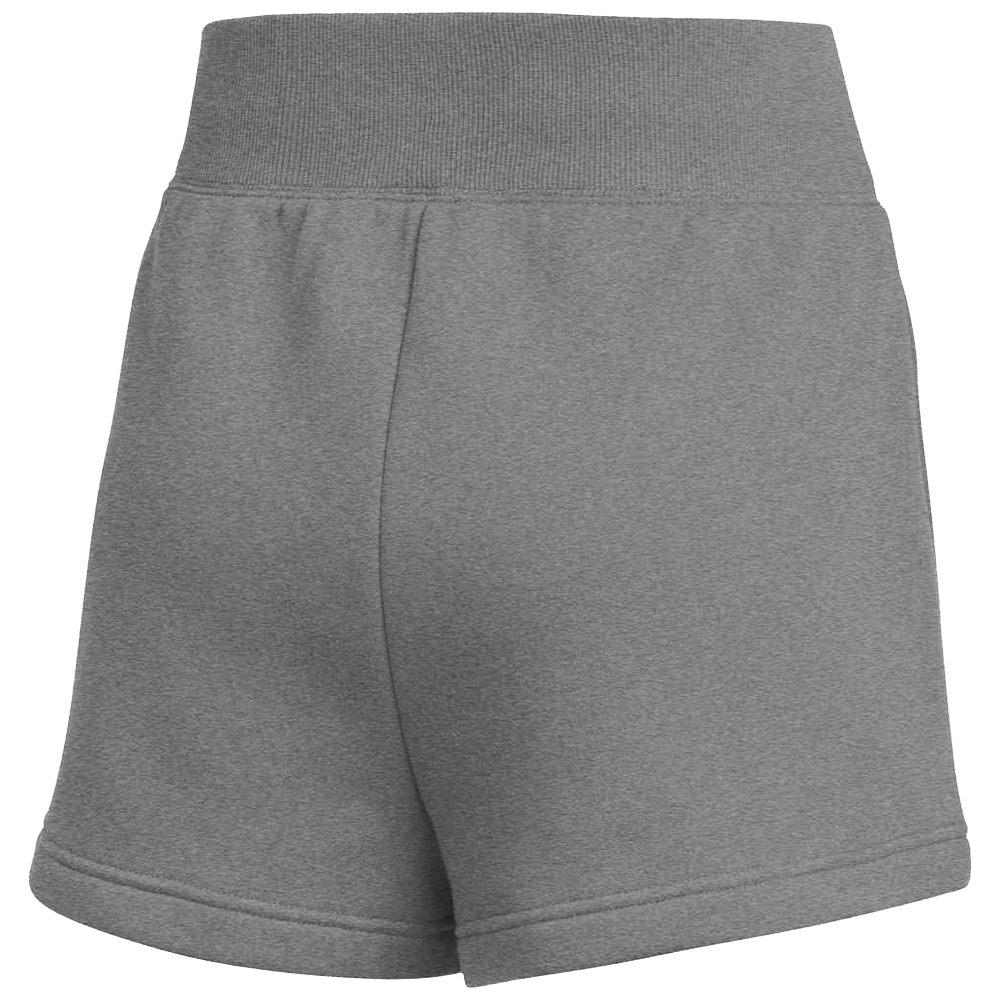Nike Women's Team Sportswear Phoenix Fleece Short