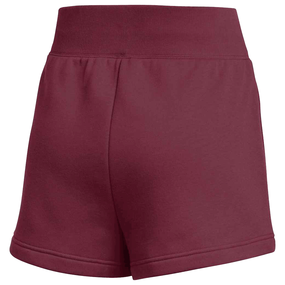 Nike Women's Team Sportswear Phoenix Fleece Short