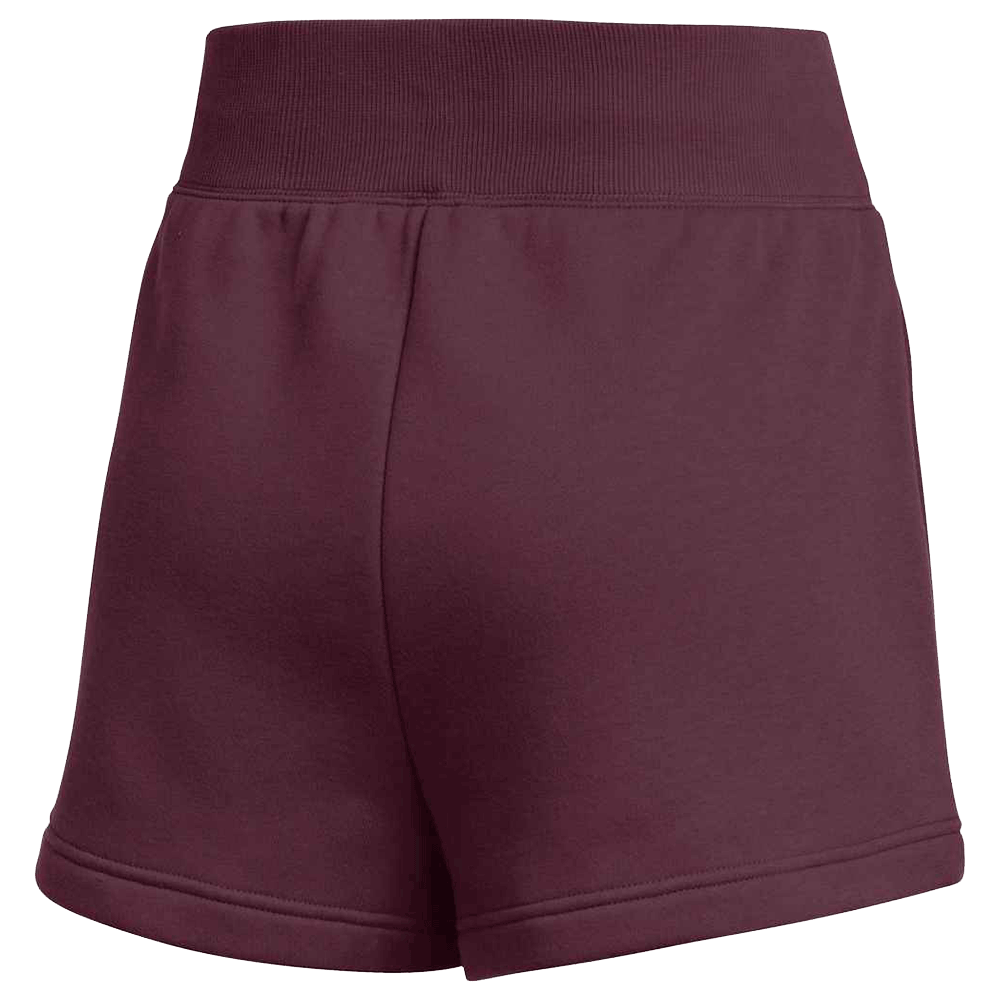 Nike Women's Team Sportswear Phoenix Fleece Short