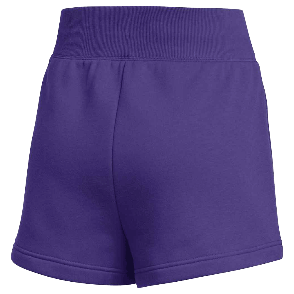 Nike Women's Team Sportswear Phoenix Fleece Short