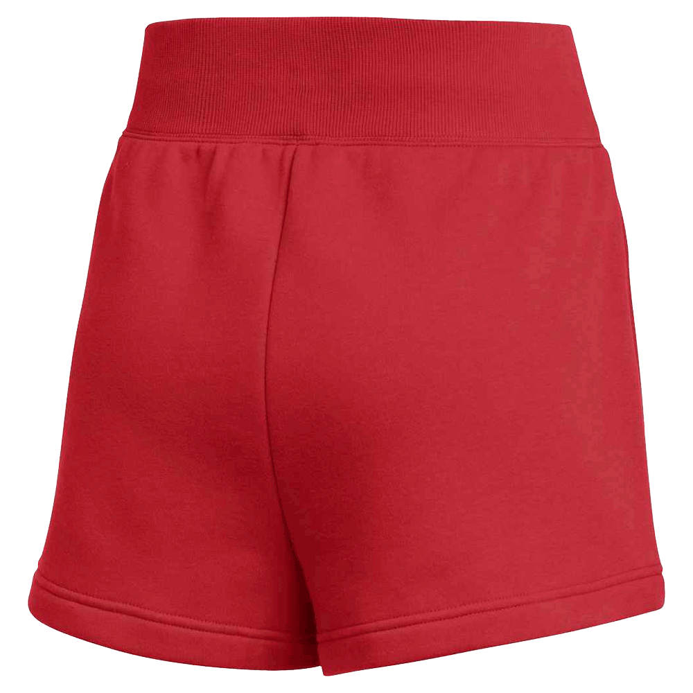 Nike Women's Team Sportswear Phoenix Fleece Short