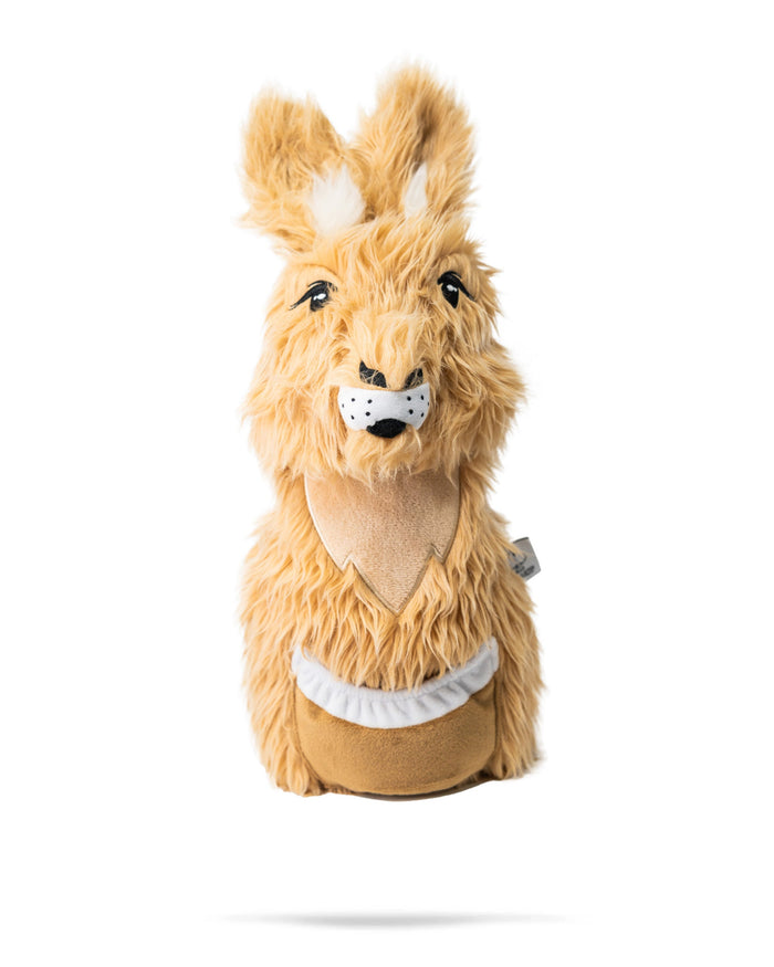 Kangaroo - Cubierta del conductor