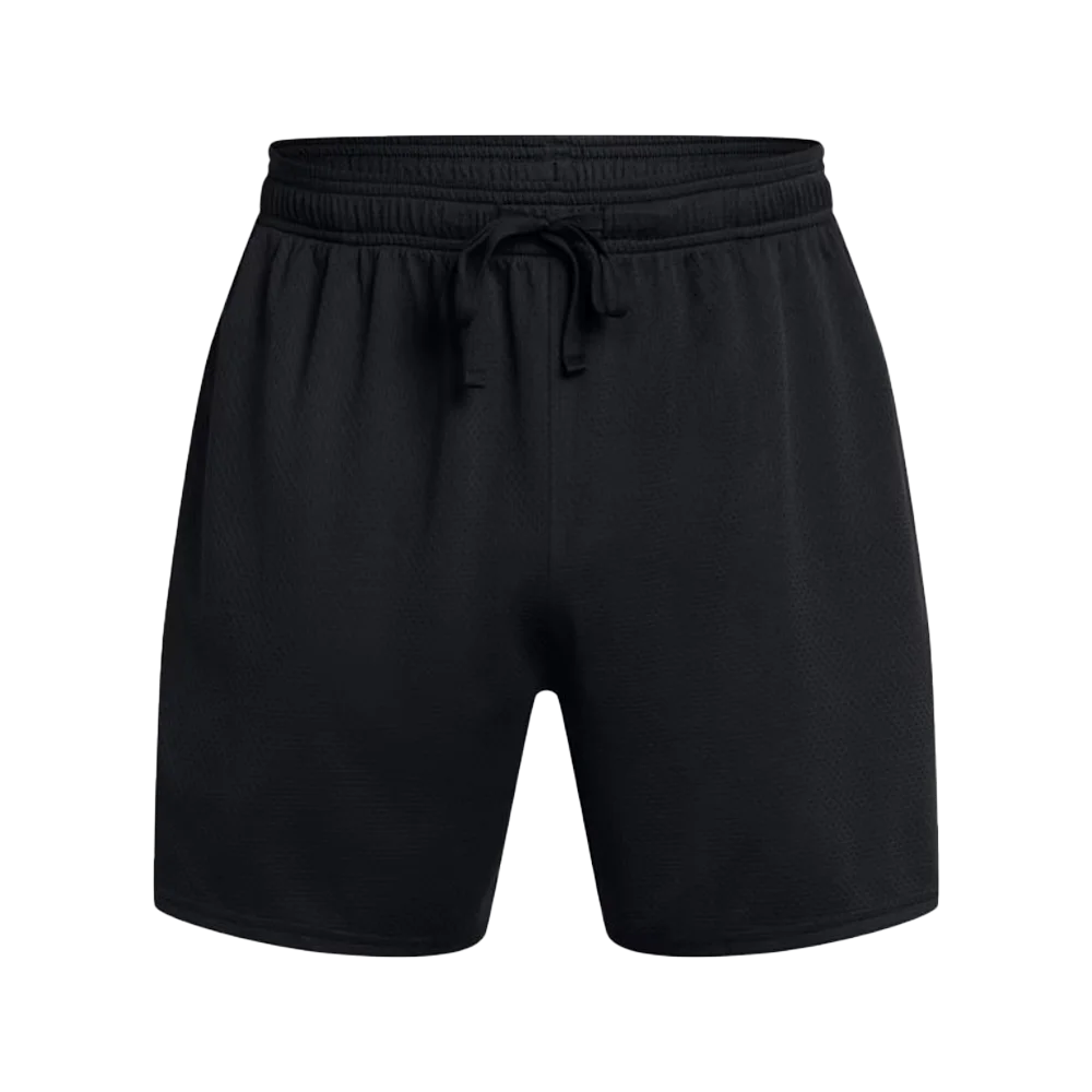 UA Men's Tech Mesh 6 Shorts
