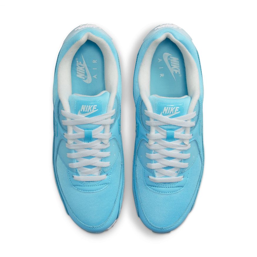 Nike Air Max 90 Men's Shoes