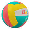 Baden Paradise Volleyballs