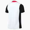 Nike Men's Dri-Fit Academy Pro 24 SS Top K