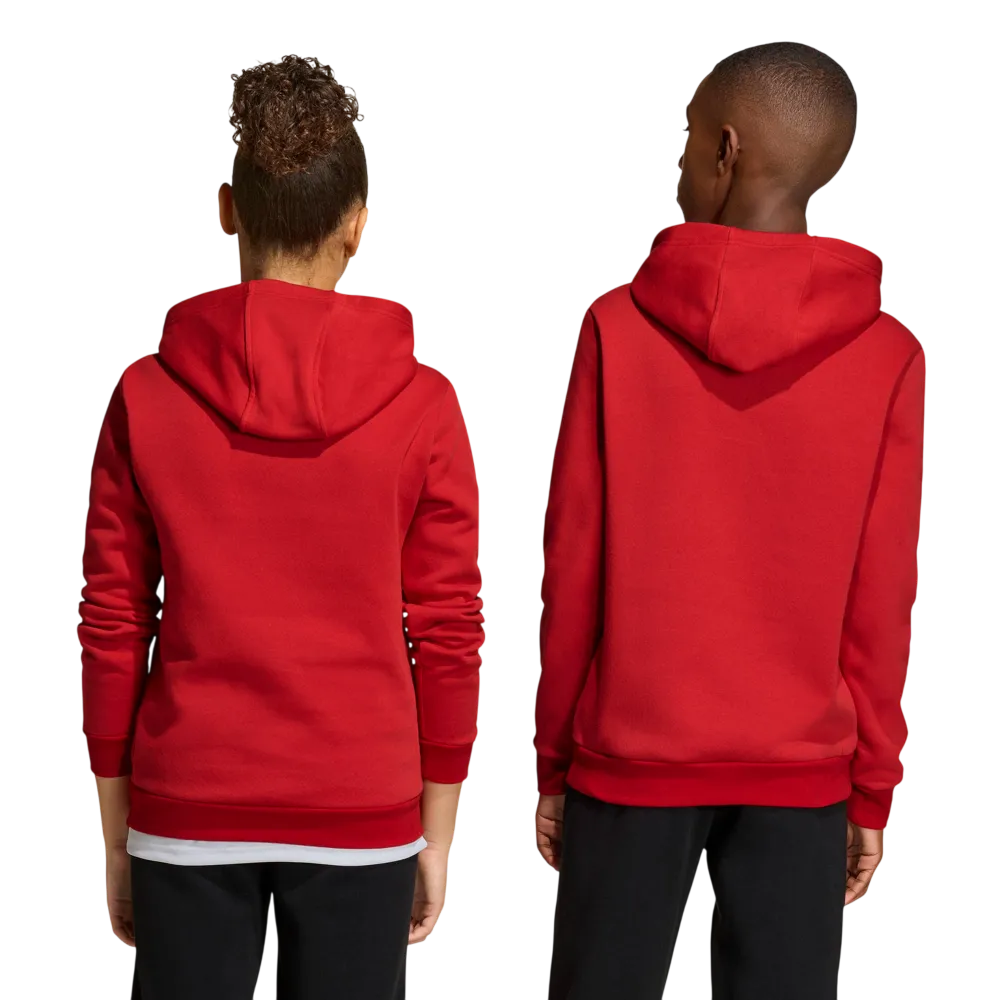 Adidas Kids Entrada 26 Hoodie