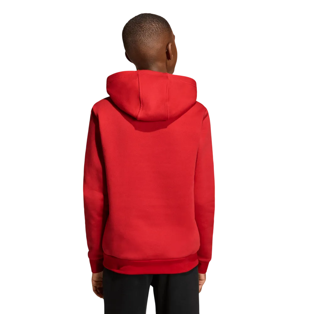 Adidas Kids Entrada 26 Hoodie
