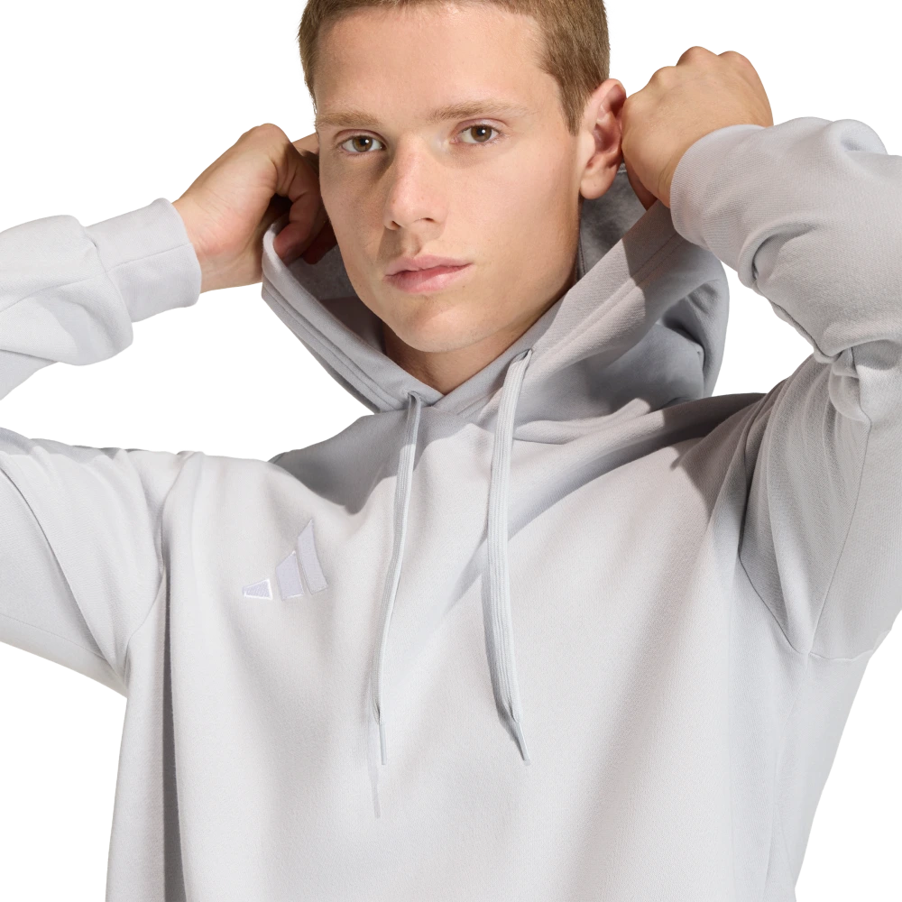 Adidas Men's Entrada 26 Hoodie