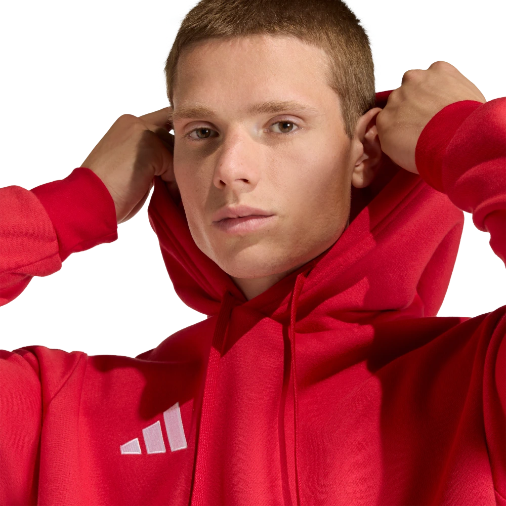 Adidas Men's Entrada 26 Hoodie