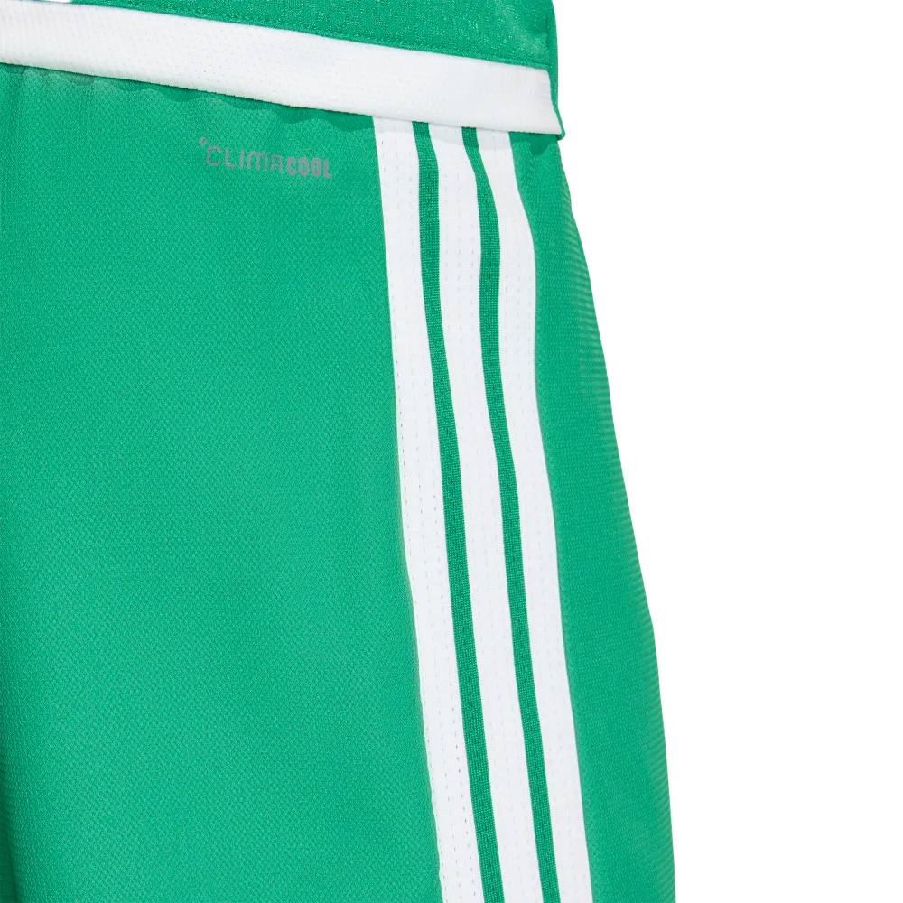 Adidas Men's Tiro 26 Competition Match Day Shorts