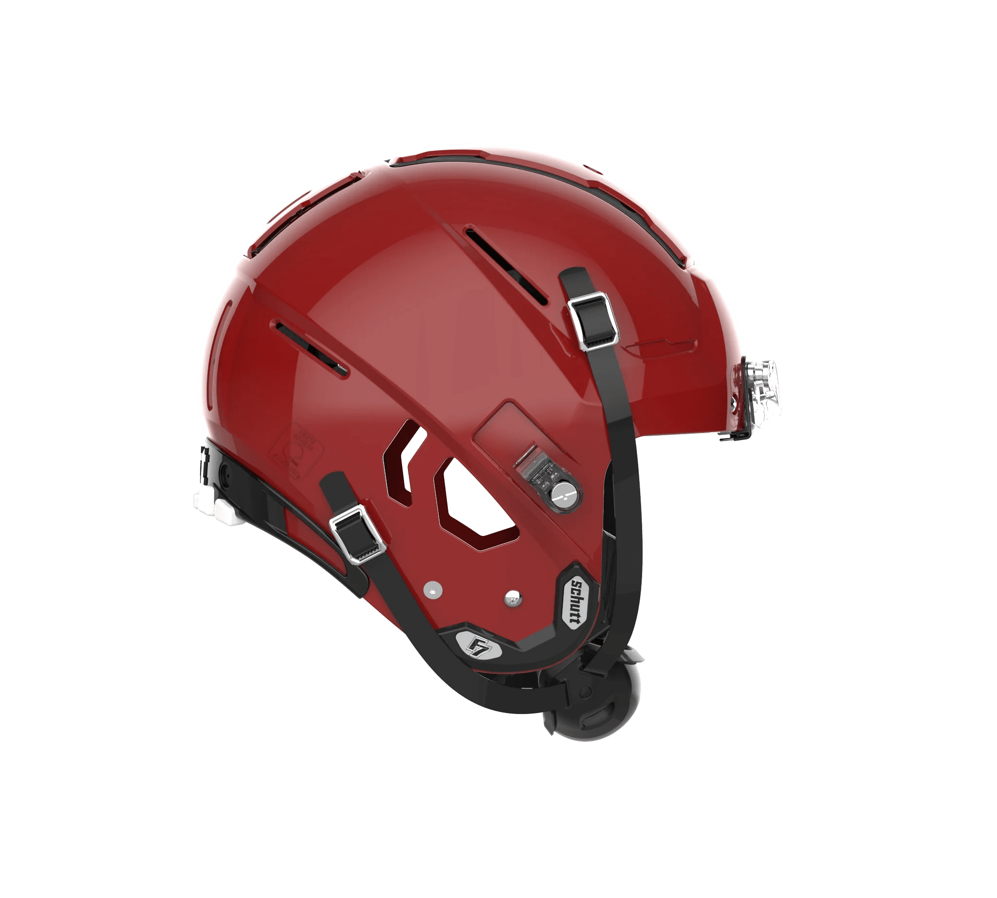 Cardinal
