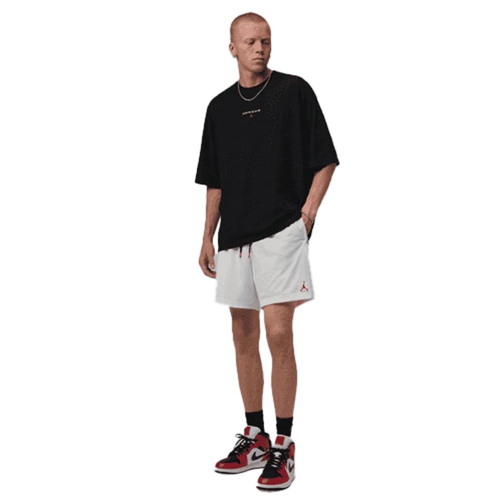 Jordan Brooklyn Men's Mesh Shorts