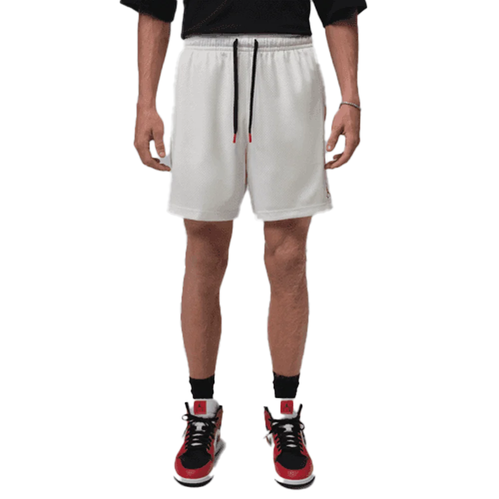 Jordan Brooklyn Men's Mesh Shorts