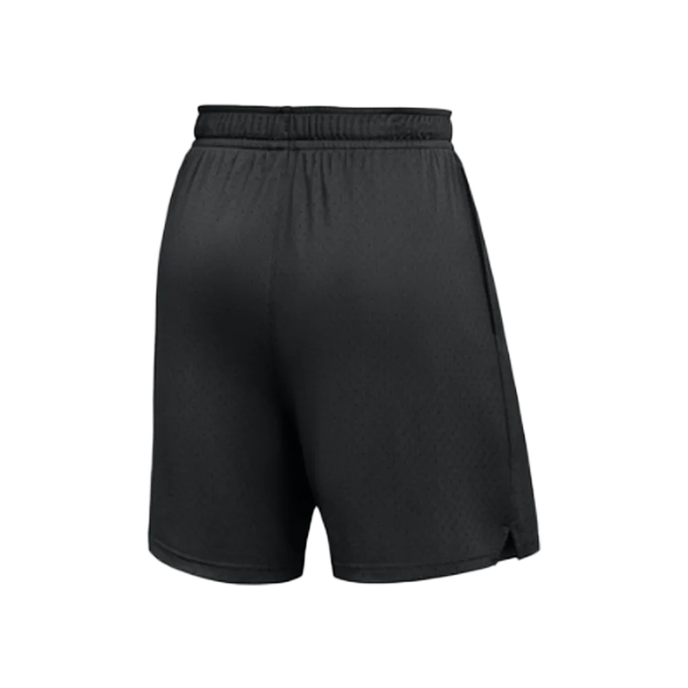 Jordan Men’s Dri-FIT Sport Mesh Short Team