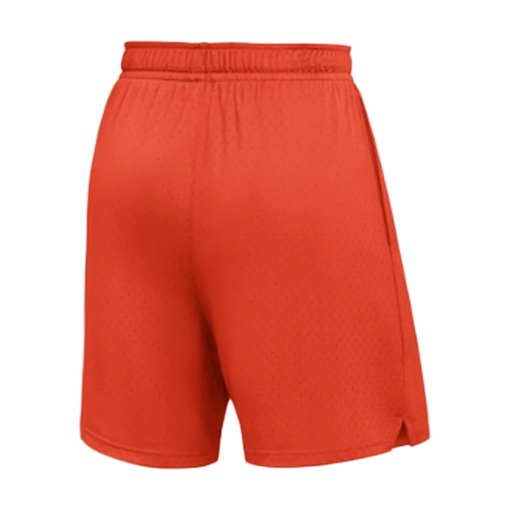 Jordan Men’s Dri-FIT Sport Mesh Short Team