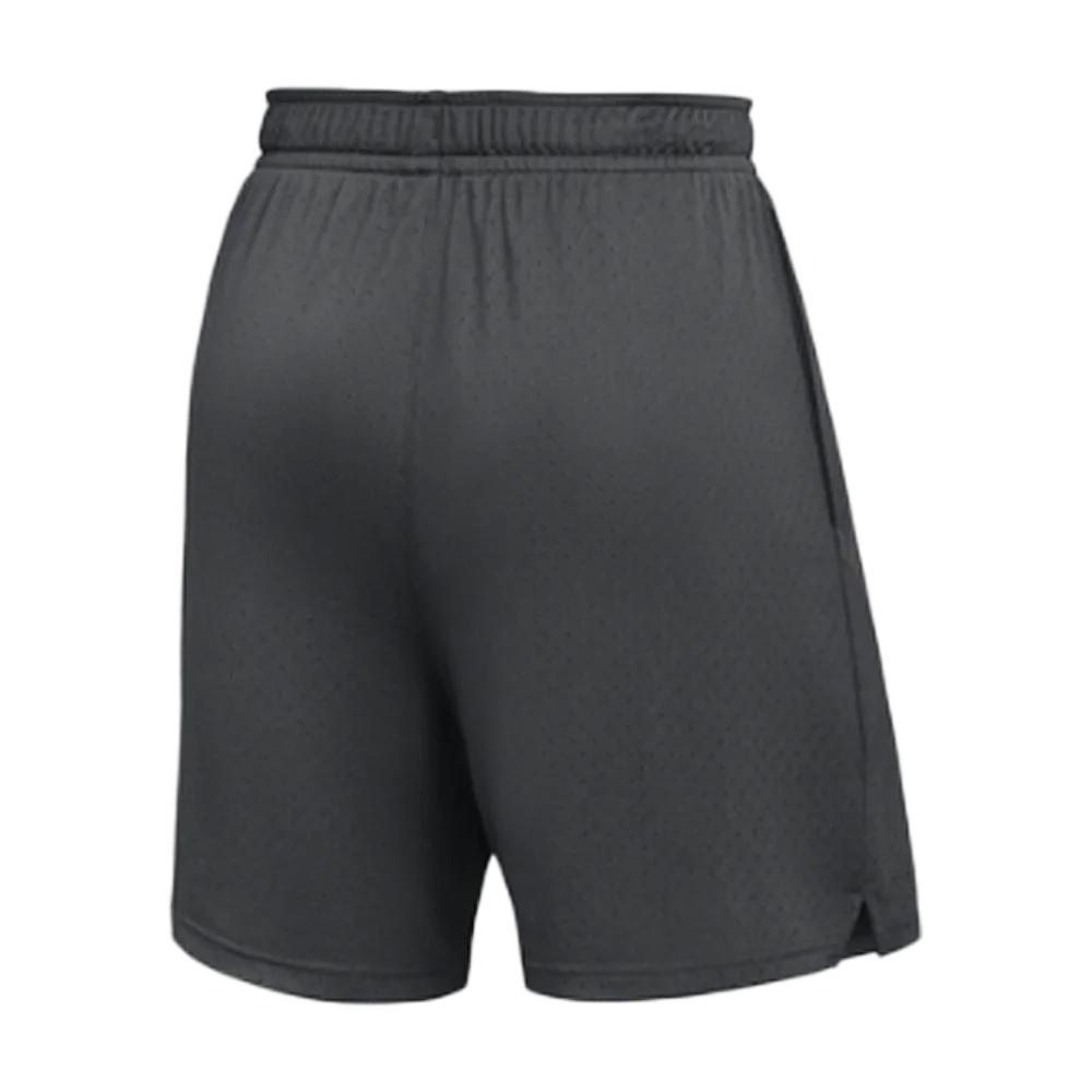 Jordan Men’s Dri-FIT Sport Mesh Short Team