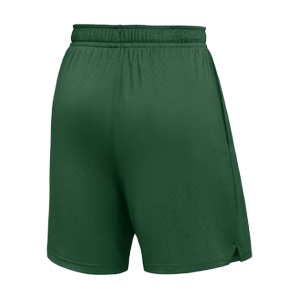 Jordan Men’s Dri-FIT Sport Mesh Short Team