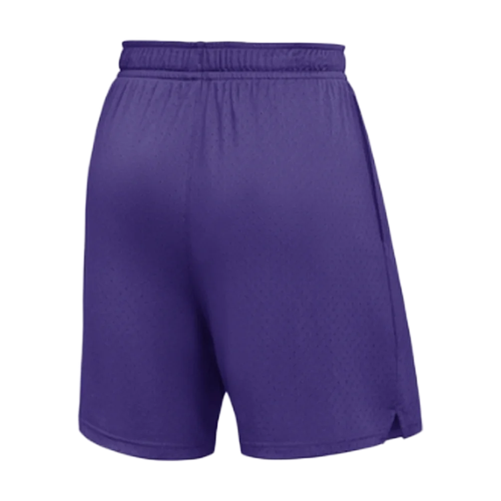 Jordan Men’s Dri-FIT Sport Mesh Short Team