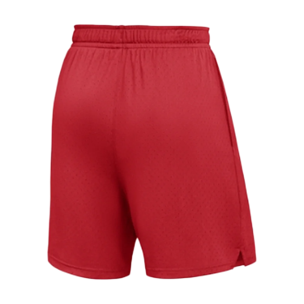 Jordan Men’s Dri-FIT Sport Mesh Short Team