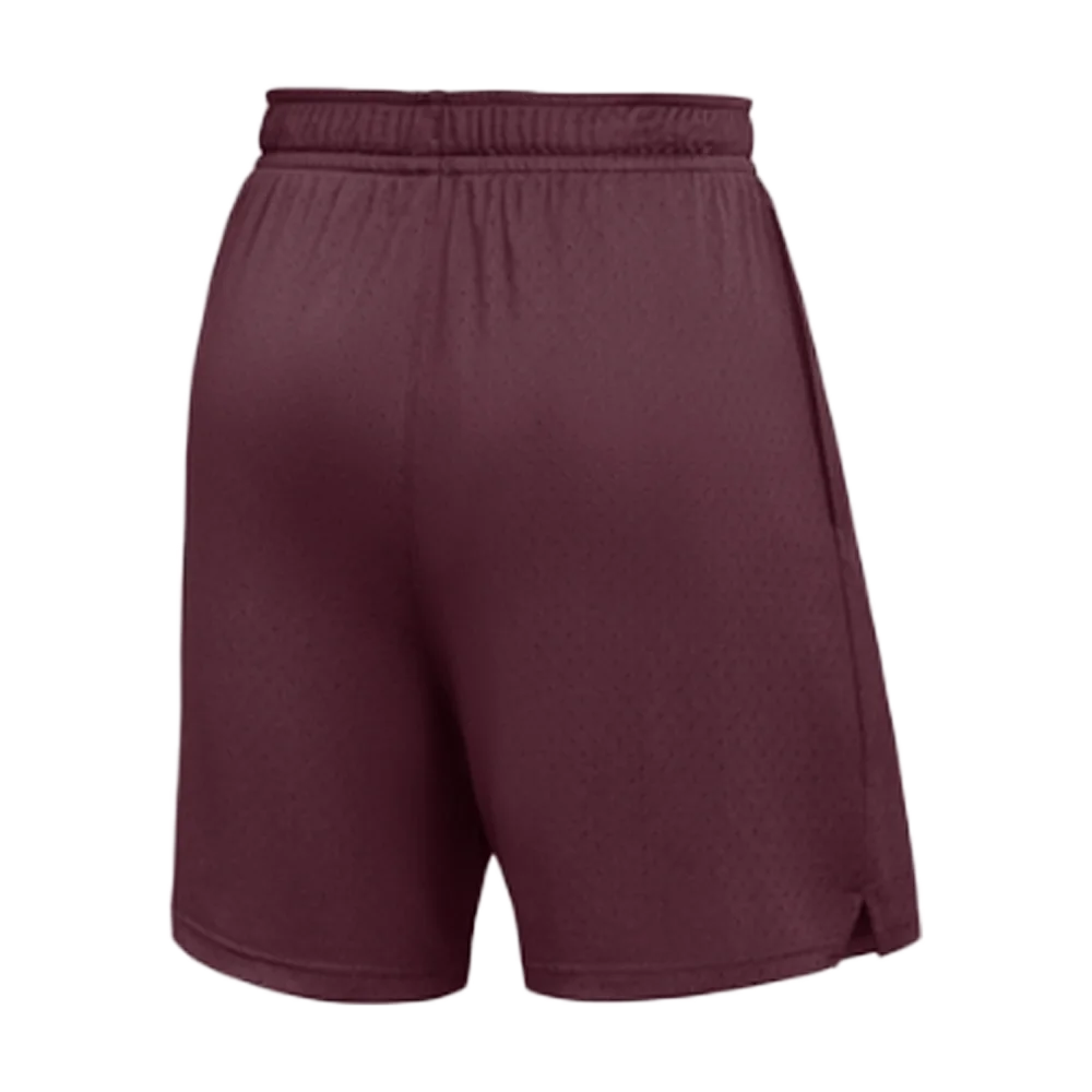 Jordan Men’s Dri-FIT Sport Mesh Short Team