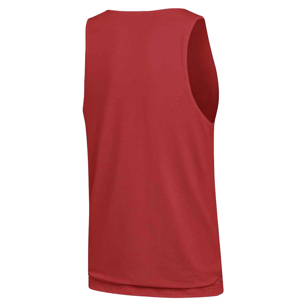 Jordan Men's Dri-fit Sport Reversible Jersey