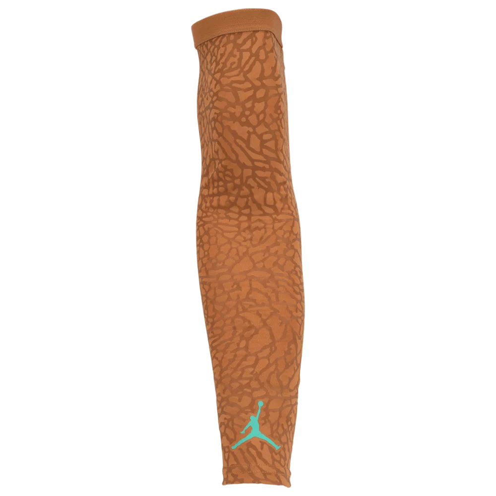 Jordan Men's Fly Sleeve Brown Color