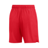 Jordan Men's Team Dri-Fit Training Short