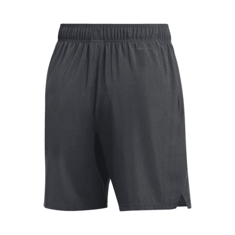 Jordan Men's Team Dri-Fit Training Short