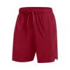 Jordan Men's Team Dri-Fit Training Short
