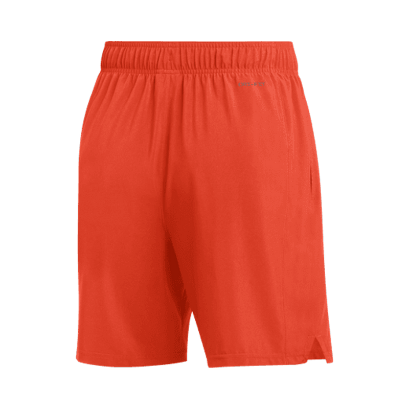 Jordan Men's Team Dri-Fit Training Short