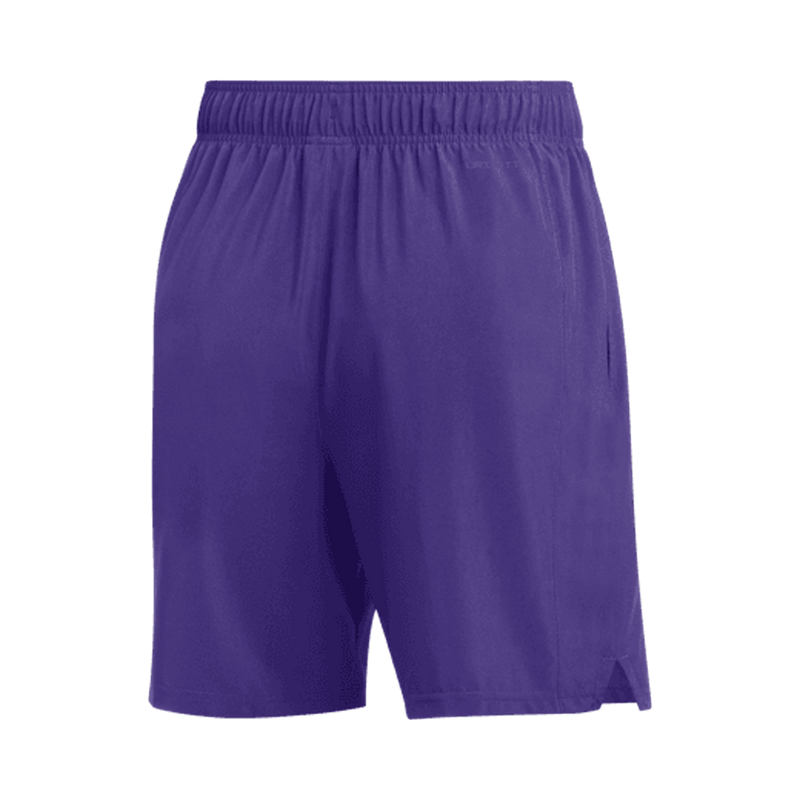 Jordan Men's Team Dri-Fit Training Short