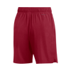 Jordan Men's Team Dri-Fit Training Short