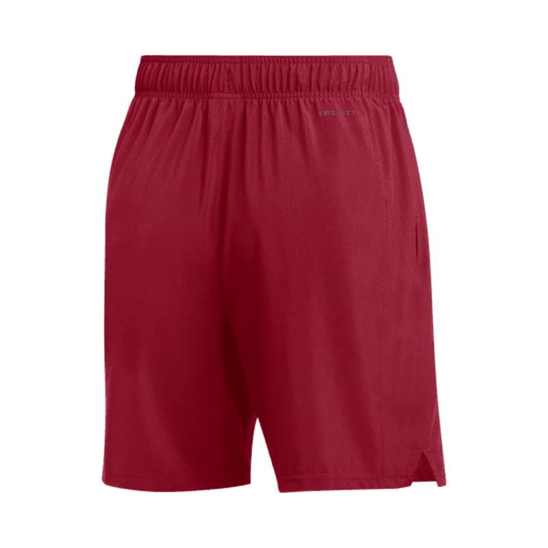 Jordan Men's Team Dri-Fit Training Short