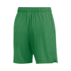 Jordan Men's Team Dri-Fit Training Short