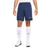 Nike Men's DF Academy 25 Short K