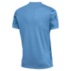 Camiseta Nike DF Precision VII manga corta para hombre (EE. UU.) 