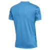 Camiseta Nike DF Precision VII manga corta para hombre (EE. UU.) 