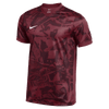 Camiseta Nike DF Precision VII manga corta para hombre (EE. UU.) 