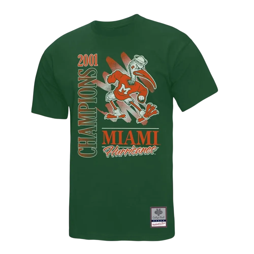 Mitchell & Ness Men's Green Miami Hurricanes Retro Brush Mineral Wash T-Shirt