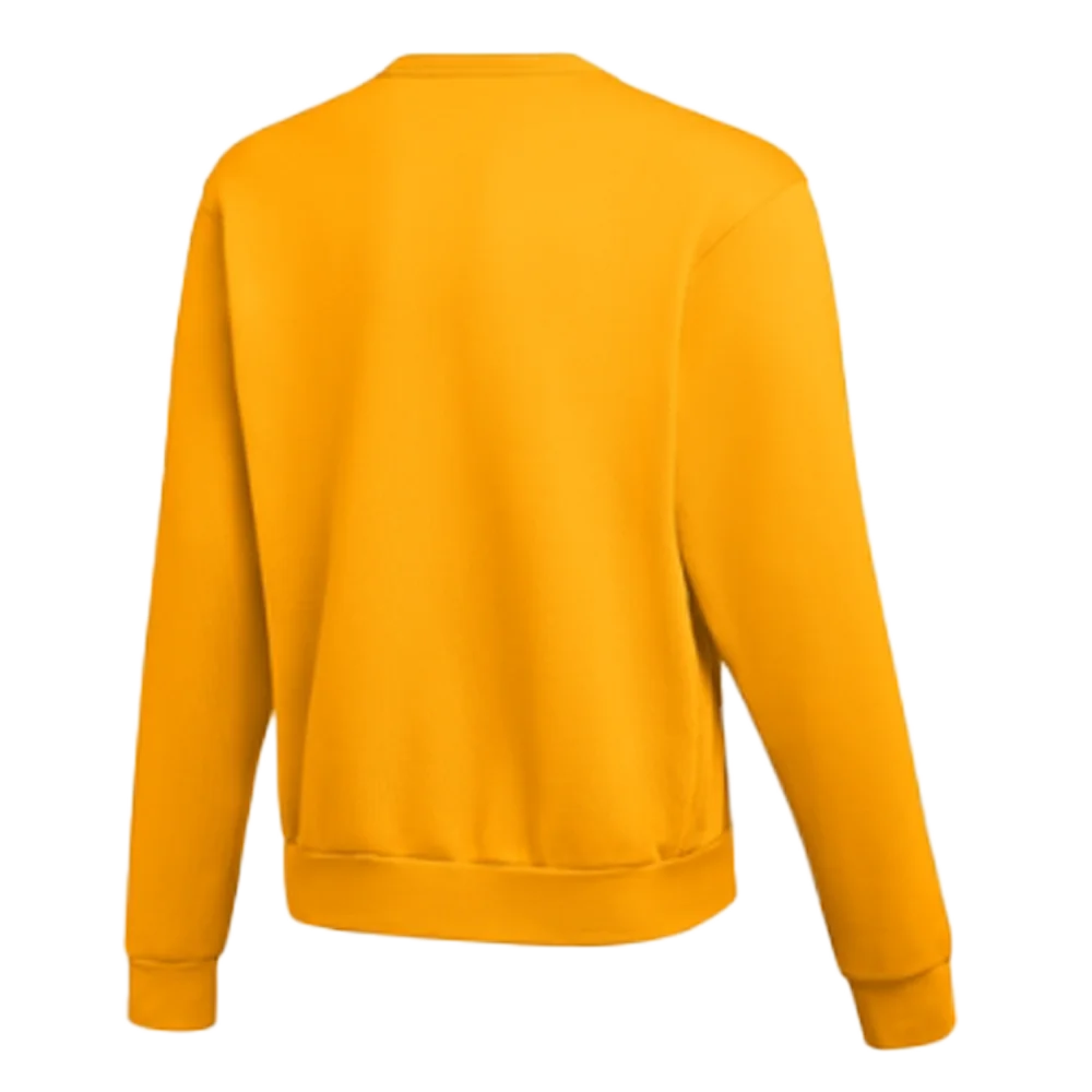Nike Men's Standard Fit Heavy Fleece Crew Neck