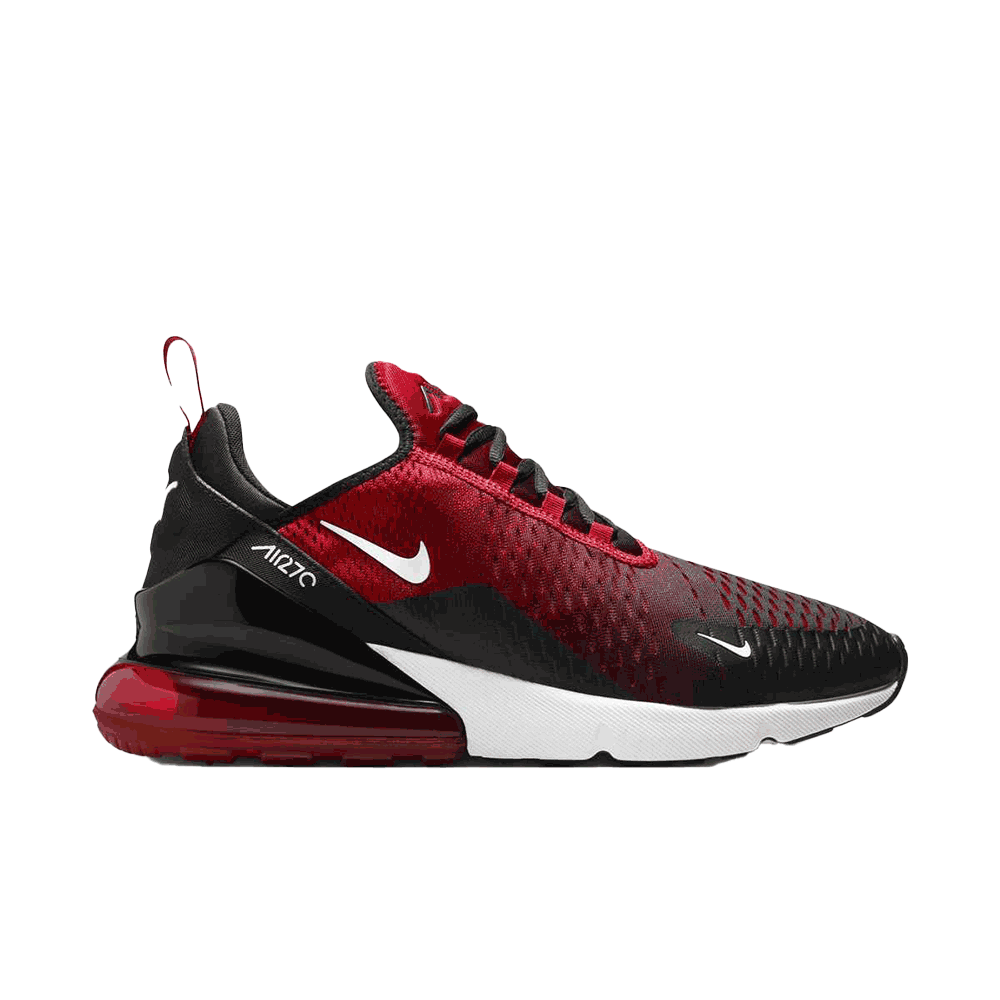 Nike Air Max 270 Men's Shoe