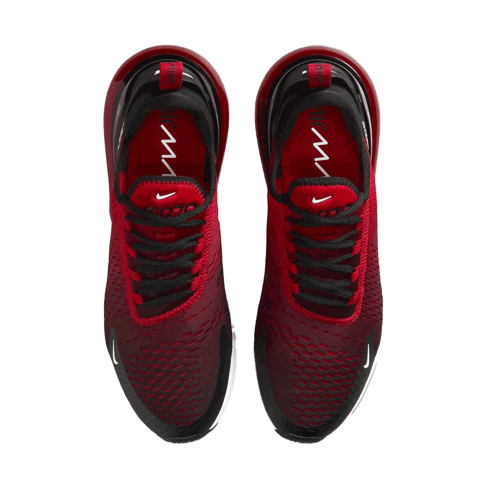 Nike Air Max 270 Men's Shoe