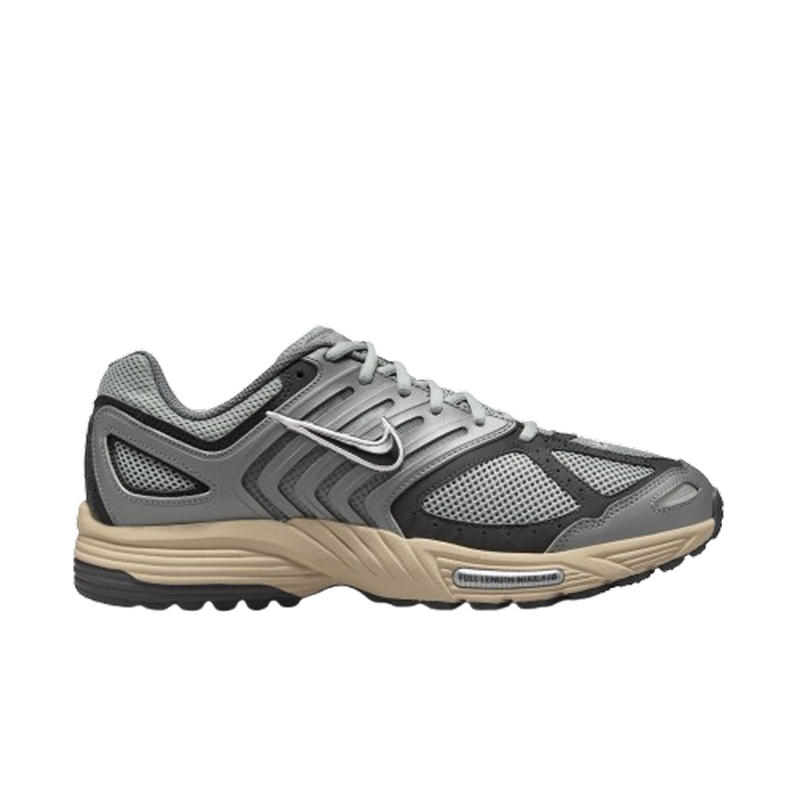 Zapatillas Nike Air Pegasus 2005 para hombre