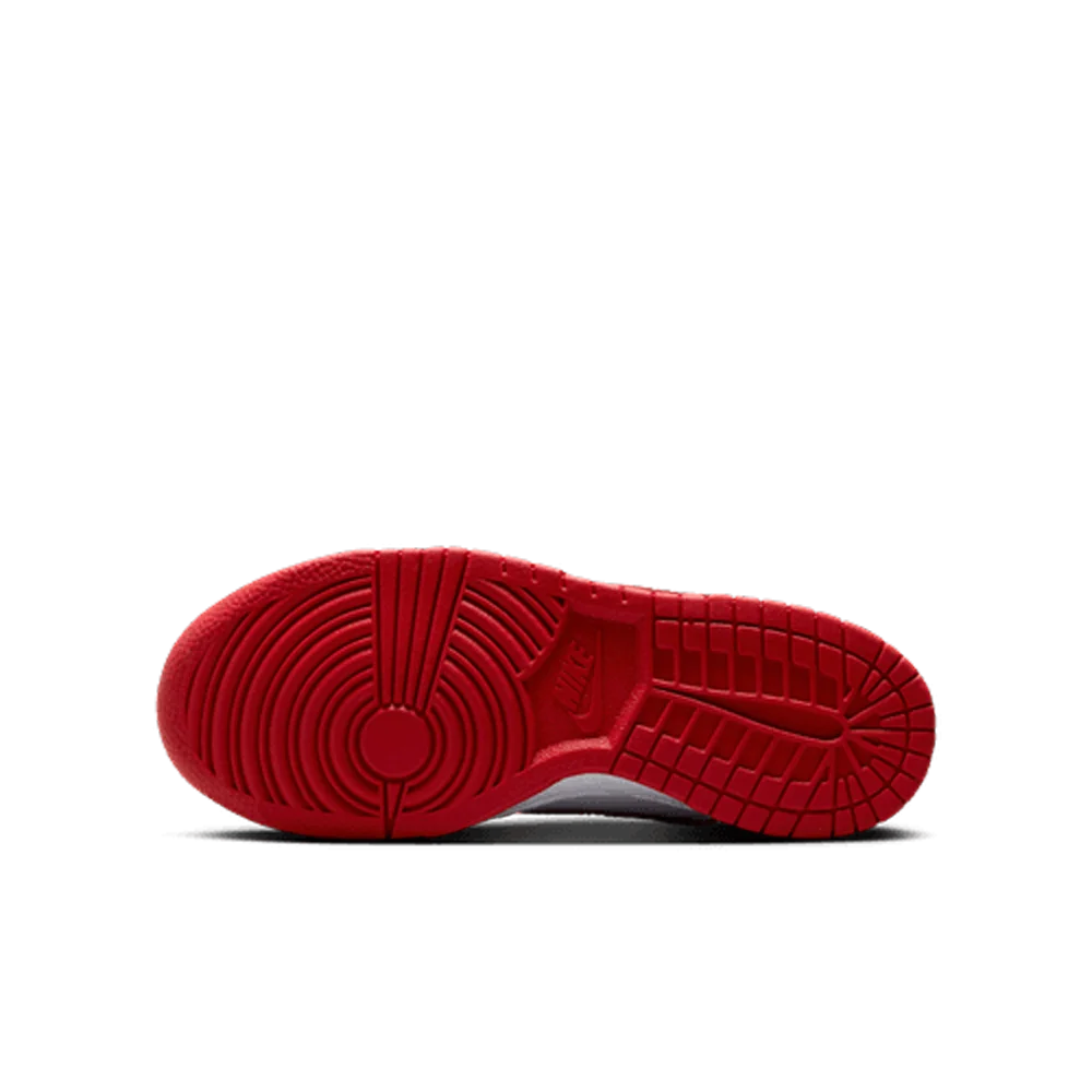 Nike Big Kids Dunk Low Shoes
