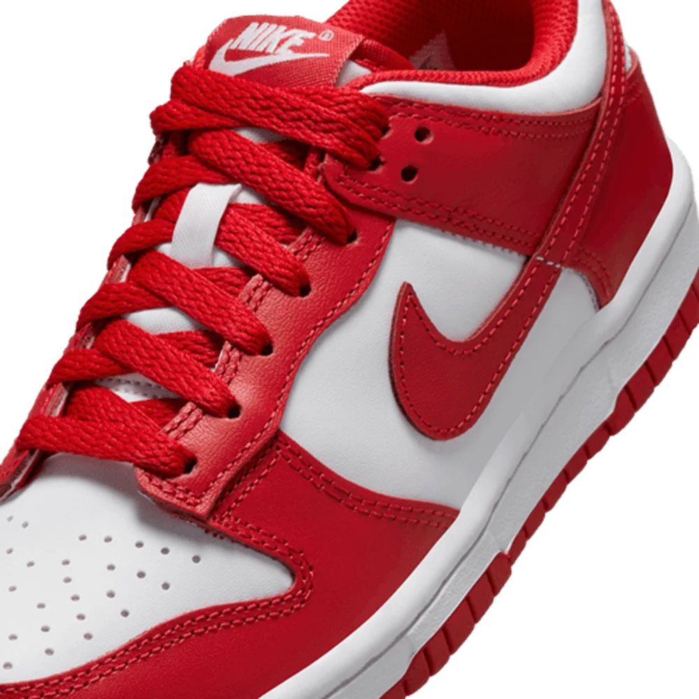 Nike Big Kids Dunk Low Shoes