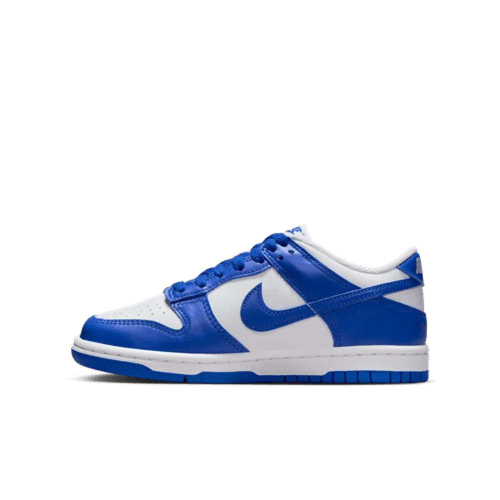 Nike Big Kids Dunk Low Shoes