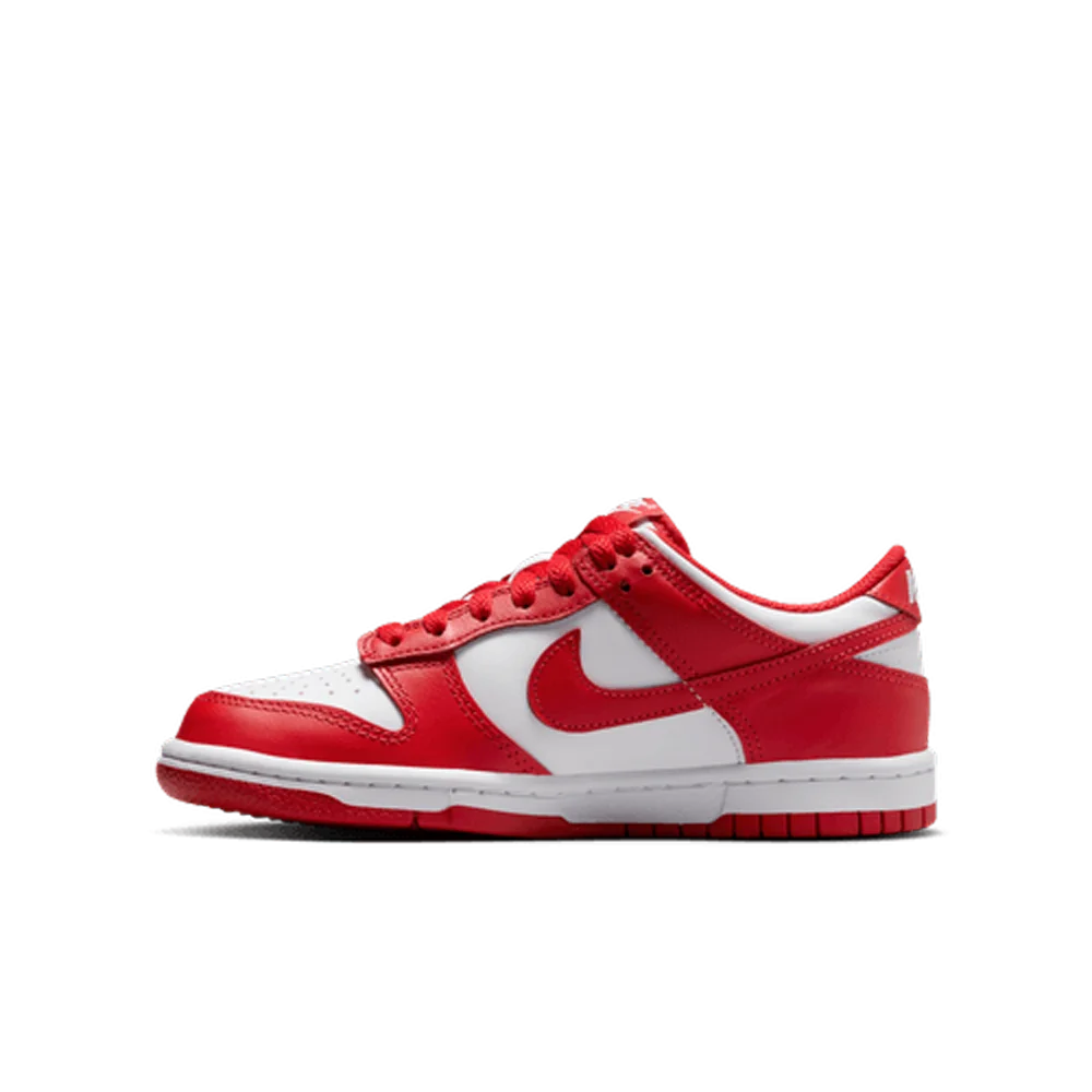 Nike Big Kids Dunk Low Shoes