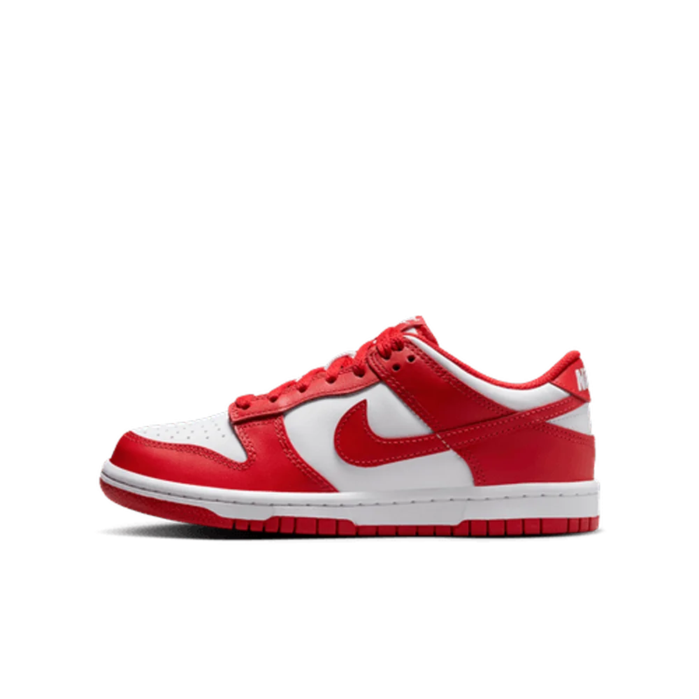Nike Big Kids Dunk Low Shoes